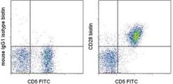 CD28 Antibody (JJ319) - BSA Free, Novus Biologicals 0.5mg; Unlabeled:Antibodies,